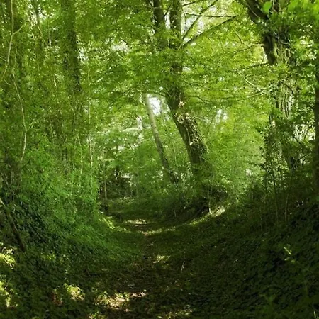 Authentique Au Coeur Du Perche, 18eme Siecle, Cheminee, Jardin Clos, Animaux Acceptes, Wifi Inclus. - Fr-1-497-49 * Pervencheres