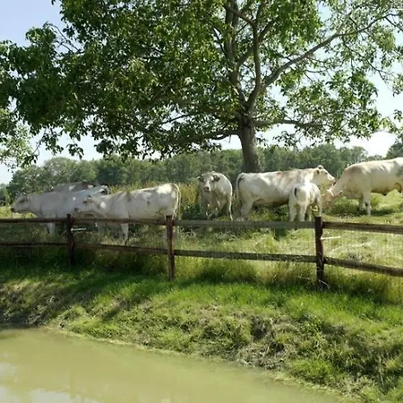 Country house Charmante Longere 18eme Siecle Avec Jardin, Animaux Acceptes - Fr-1-497-49