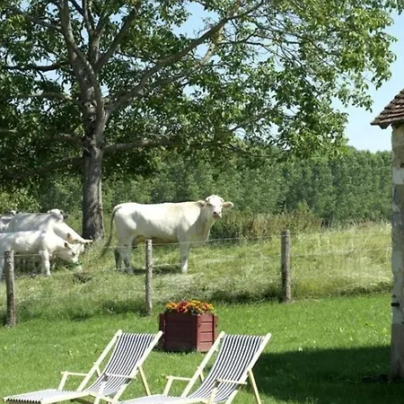 Charmante Longere 18eme Siecle Avec Jardin, Animaux Acceptes - Fr-1-497-49 Pervencheres