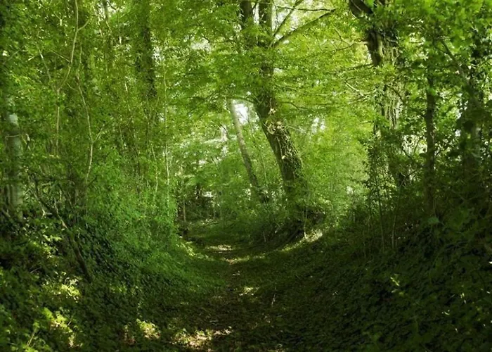 Charmante Longere 18eme Siecle Avec Jardin, Animaux Acceptes - Fr-1-497-49 * Pervencheres