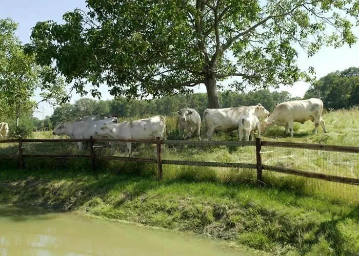 別荘 Charmante Longere 18eme Siecle Avec Jardin, Animaux Acceptes - Fr-1-497-49