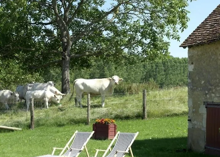 Charmante Longere 18eme Siecle Avec Jardin, Animaux Acceptes - Fr-1-497-49 Pervencheres